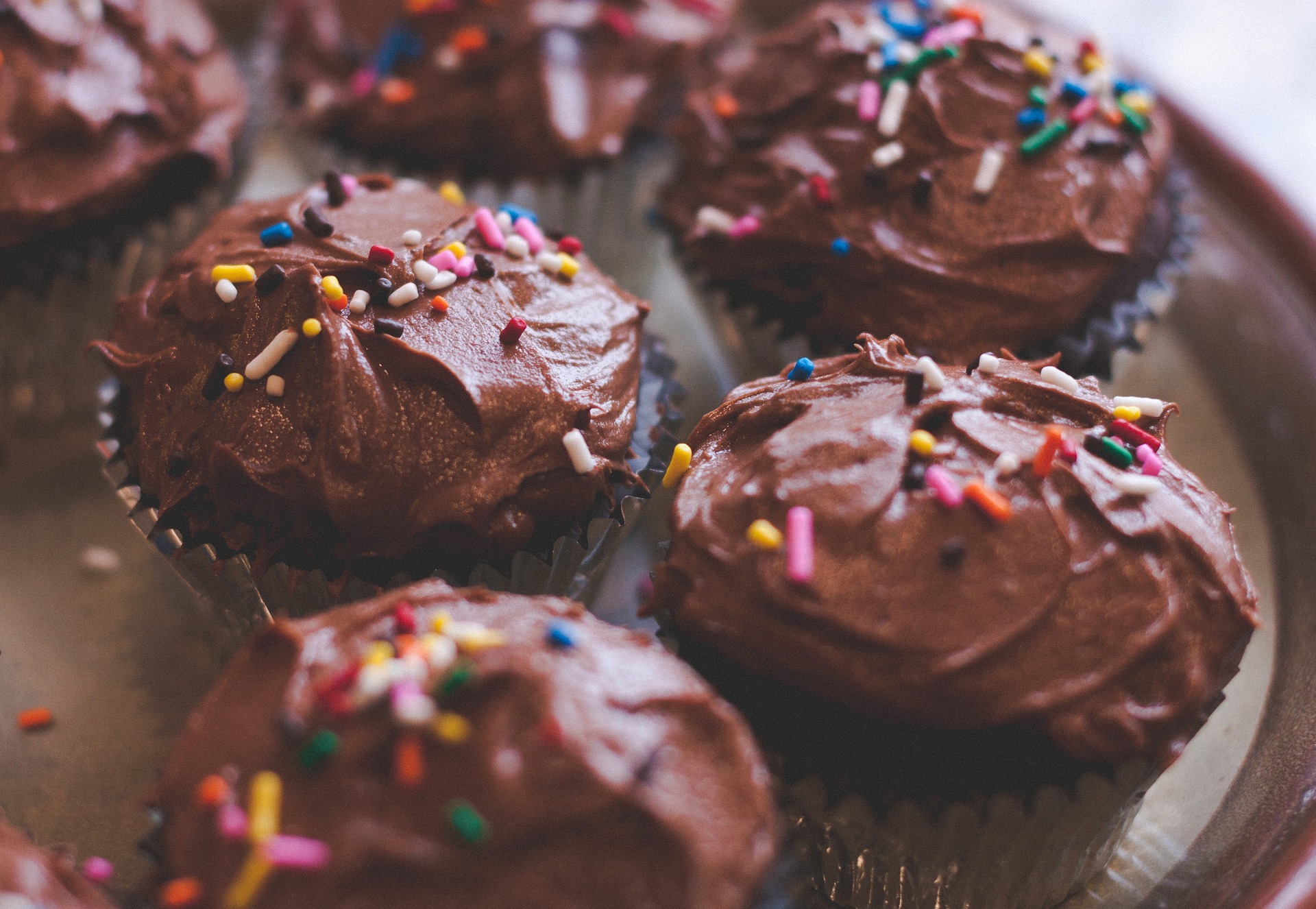 A plate of chocolate cupcakes with rainbow sprinkles
